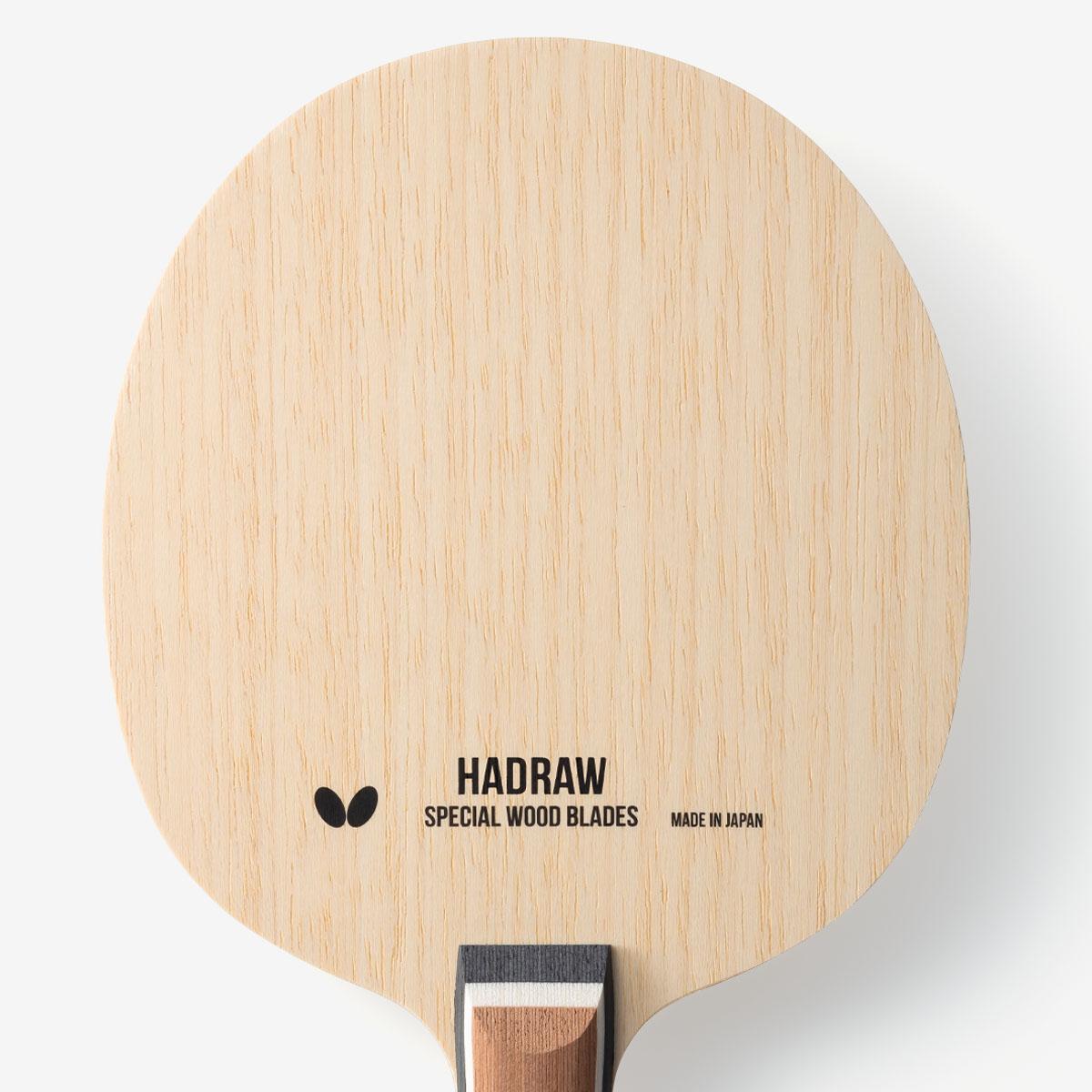 蝴蝶 HADRAW 5